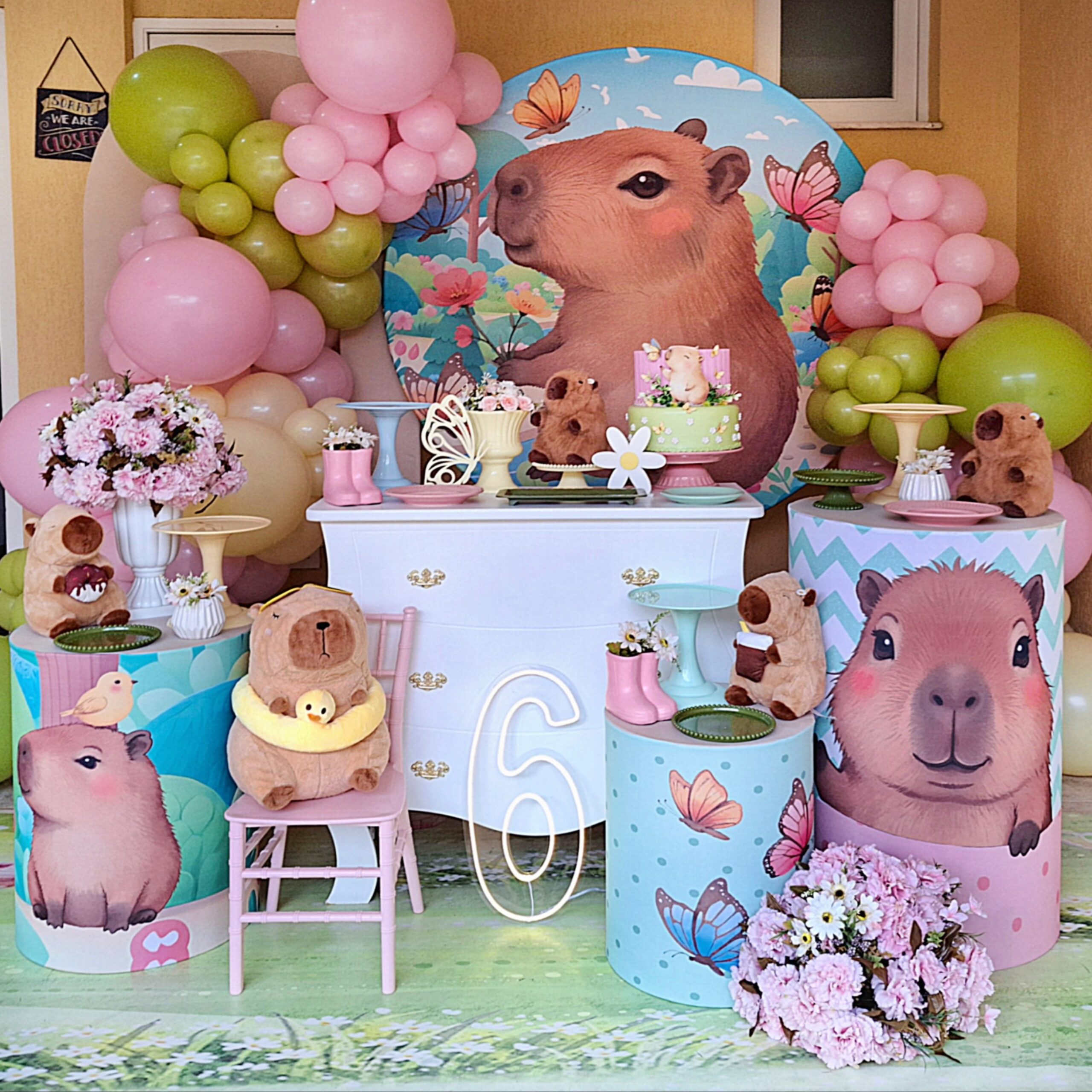 Serviço de aluguel de decoração tema Capivara